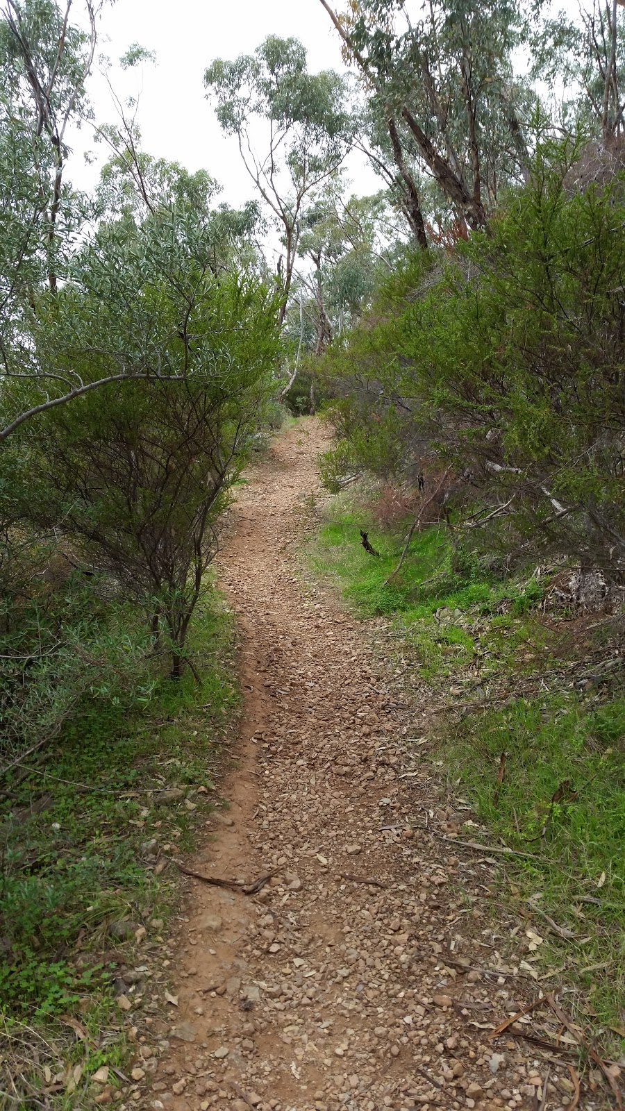 Randell Park Trails | park | Mitcham SA 5062, Australia | 0883728888 OR +61 8 8372 8888