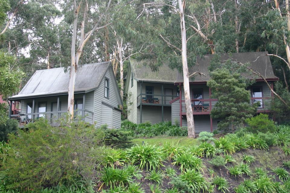 Great Ocean Road Cottages | real estate agency | 10 Erskine Ave, Lorne VIC 3232, Australia | 0352891070 OR +61 3 5289 1070