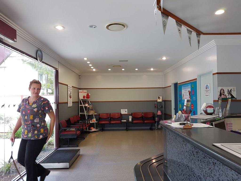 East Bundaberg Veterinary Hospital | veterinary care | 71 Princess St, Bundaberg East QLD 4670, Australia | 0741531399 OR +61 7 4153 1399