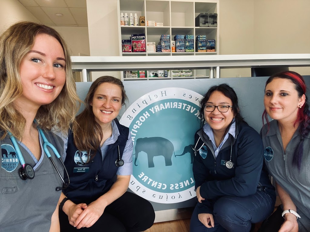 The Berwick Veterinary Hospital Wellness Centre | veterinary care | Shop 17, Eden Rise Village, 1 OShea Road 3806, Berwick VIC 3806, Australia | 0391182020 OR +61 3 9118 2020