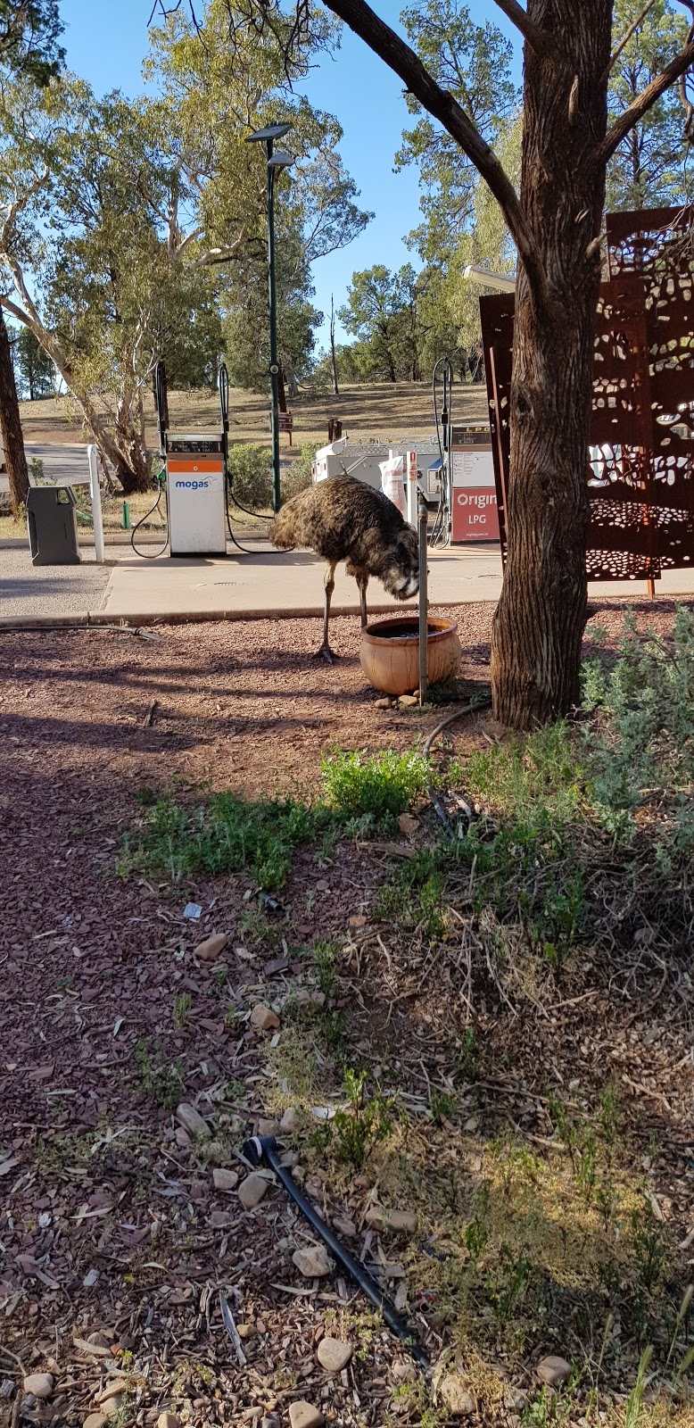 Wilpena Pound Visitor Centre | Flinders Ranges SA 5434, Australia | Phone: (08) 8648 0048