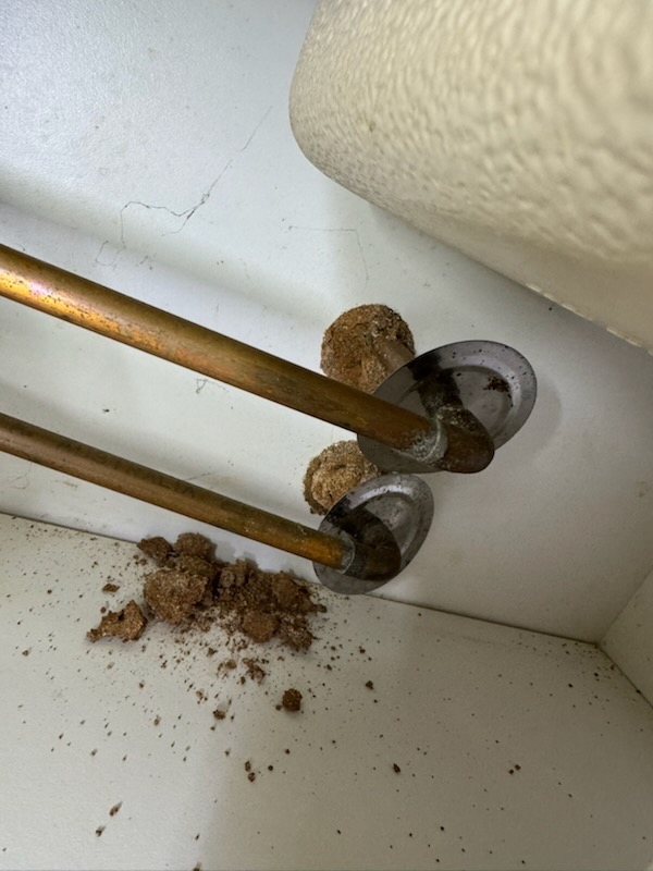 HJT Pest Control | 176 Cessnock Rd, Neath NSW 2326, Australia | Phone: 0474 587 323