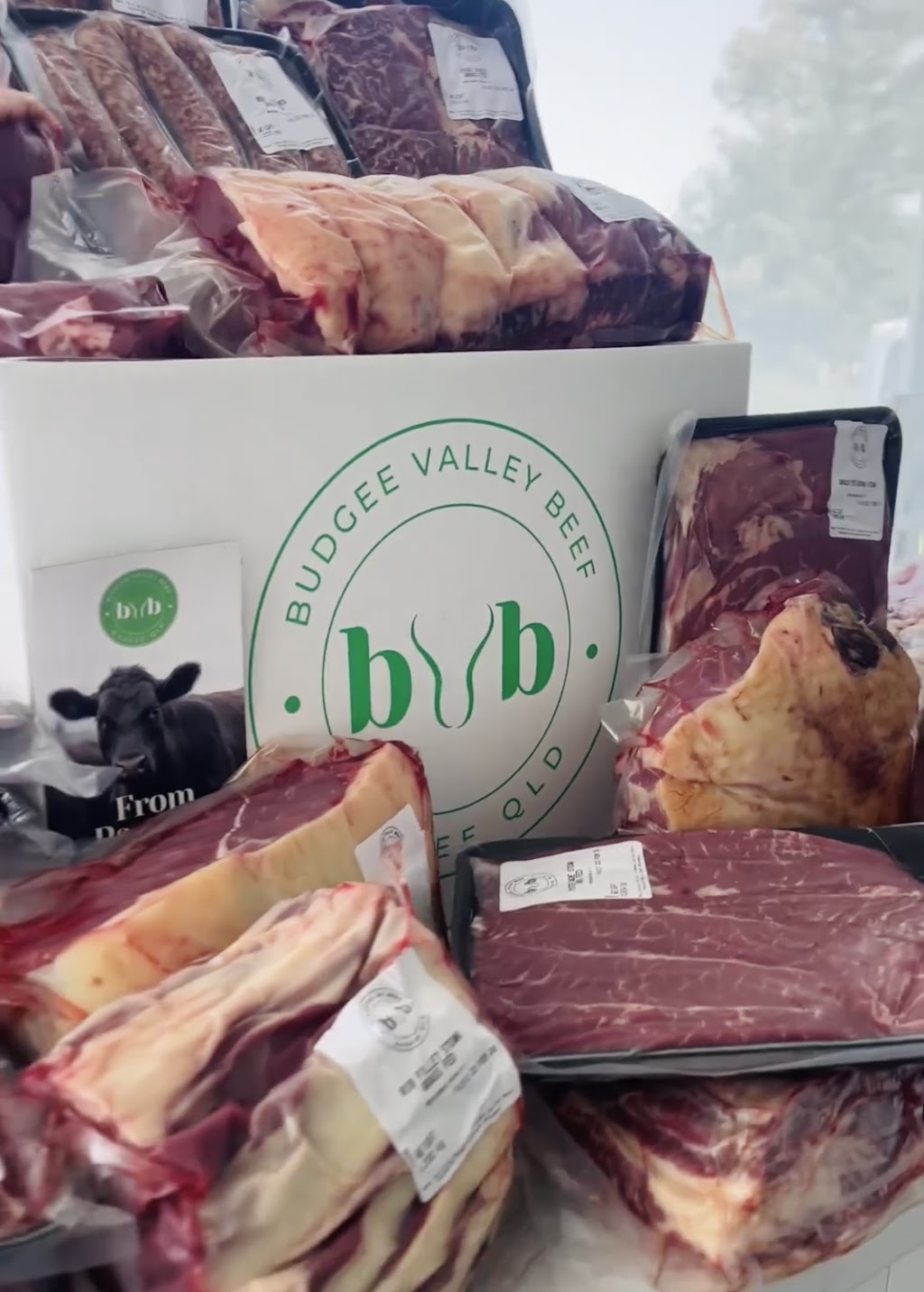 Budgee Valley Beef | 327 Budgee Rd, Budgee QLD 4359, Australia | Phone: 0400 627 297