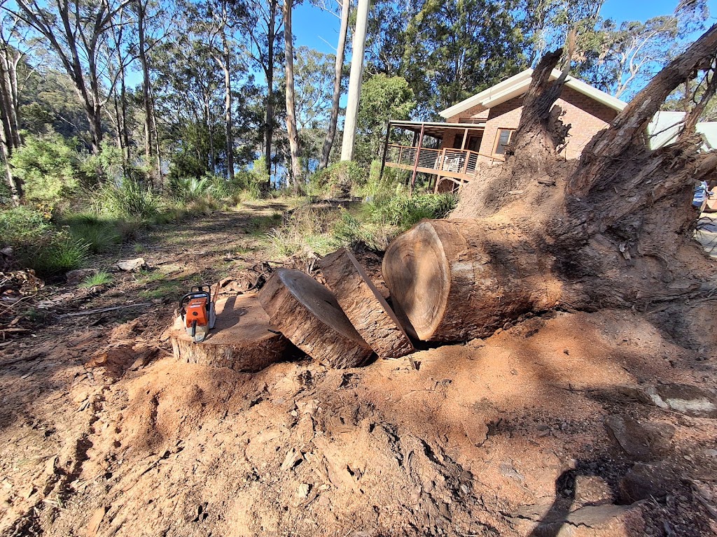 LEEVIS TREE AND YARD SERVICES | 766 Wagonga Scenic Dr, Narooma NSW 2546, Australia | Phone: 0474 755 173