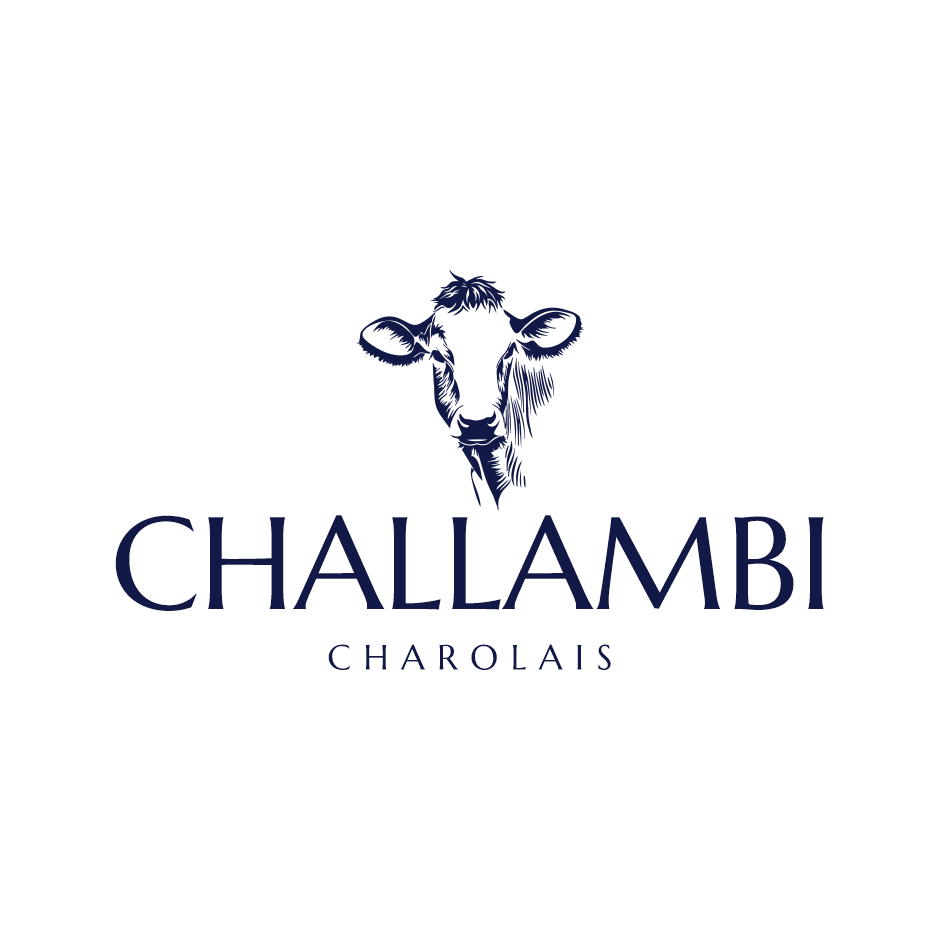 Challambi Charolais | food | 512 Welumba Creek Rd, Greg Greg NSW 2642, Australia | 0427828804 OR +61 427 828 804