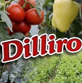 dilliro vegetables | store | Tahmoor NSW 2573, Australia | 0411817007 OR +61 411 817 007
