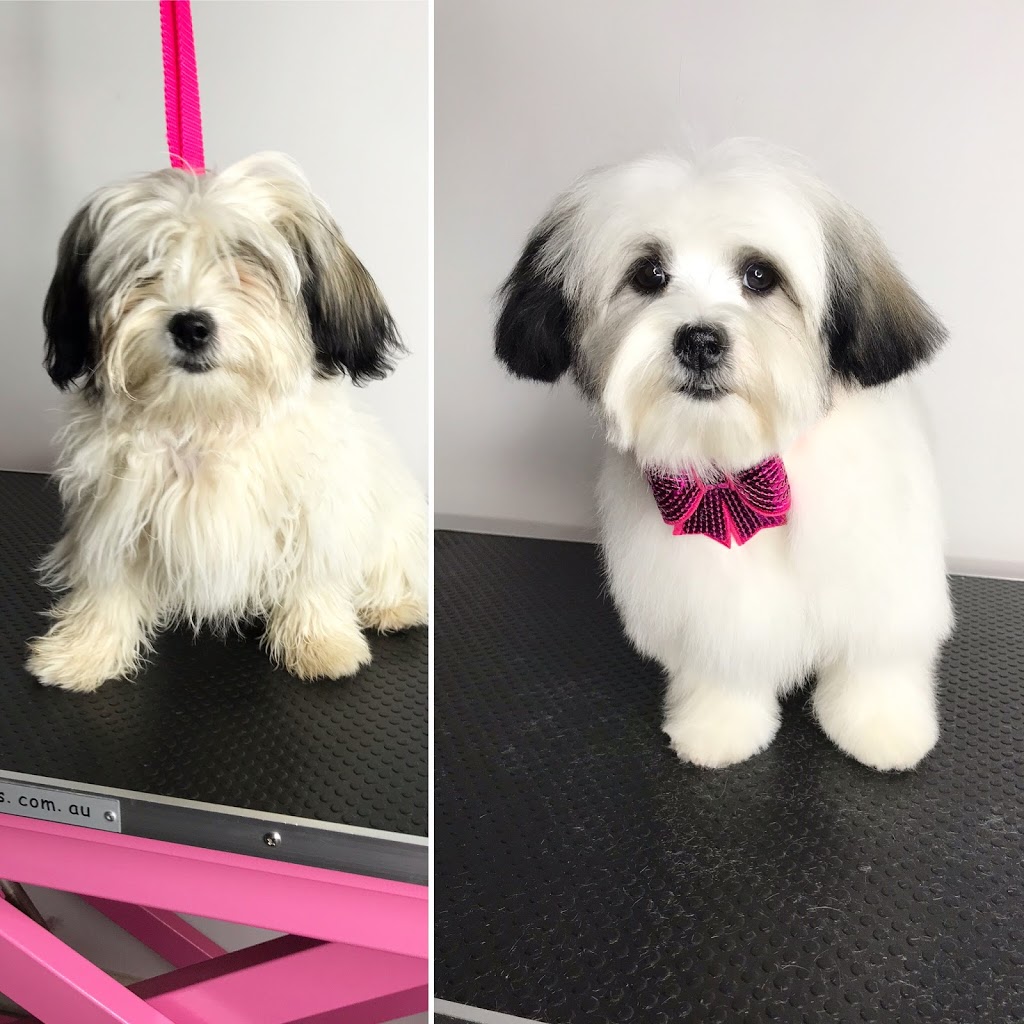 Daisy Dog Pet Grooming | 3 Black Duck Crossing, Kilmore VIC 3764, Australia | Phone: 0422 535 366