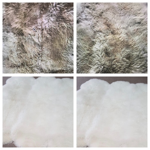 Rug Wash Cleaning Specialist Sydney | laundry | 49/3 Kelso Cres, Moorebank NSW 2170, Australia | 1300657857 OR +61 1300 657 857