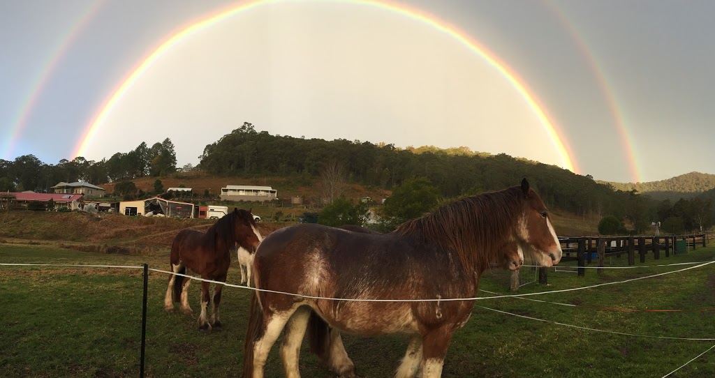 Yarramalong Clydesdales | lodging | 11 Robinvale Ln, Yarramalong NSW 2259, Australia | 0434523344 OR +61 434 523 344