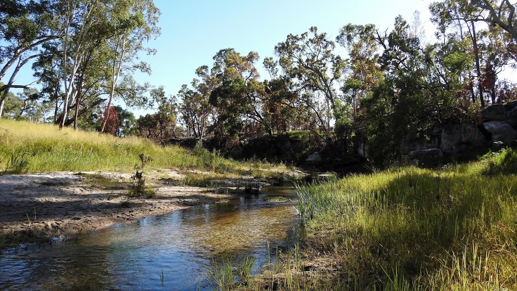 Nogoa River Camping Area | park | Carnarvon Park QLD 4722, Australia
