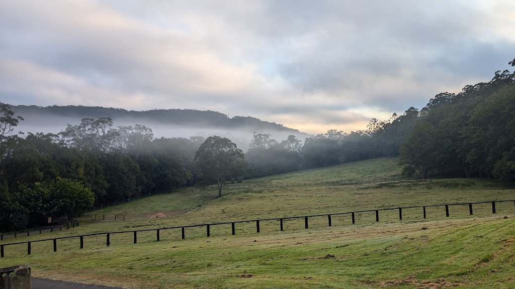 Sunnybank Therapies | 16 Chittaway Rd, Ourimbah NSW 2258, Australia | Phone: 0435 370 817