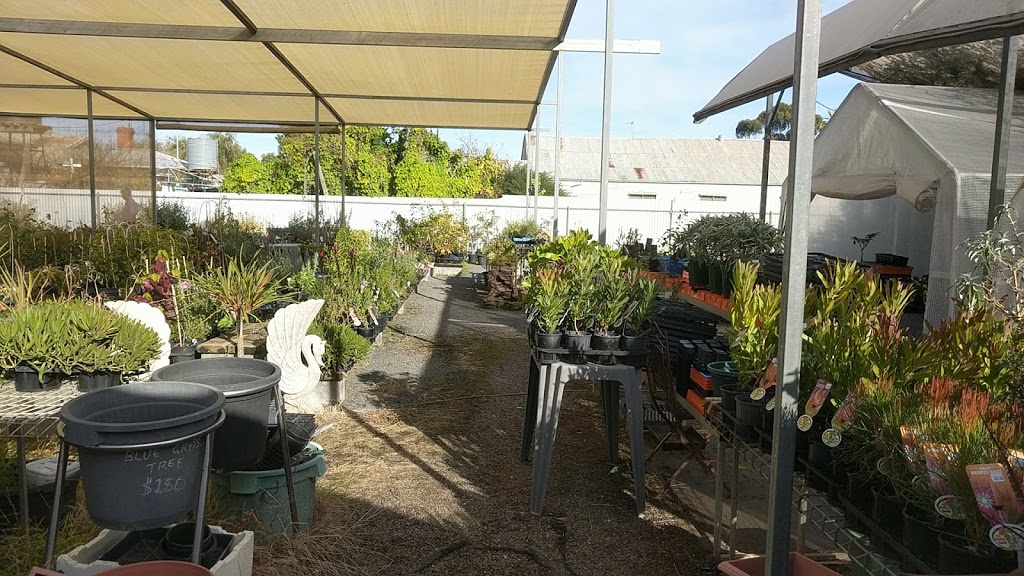 Rupanyup Garden Centre | 12 Stewart St, Rupanyup VIC 3388, Australia | Phone: 0427 855 255