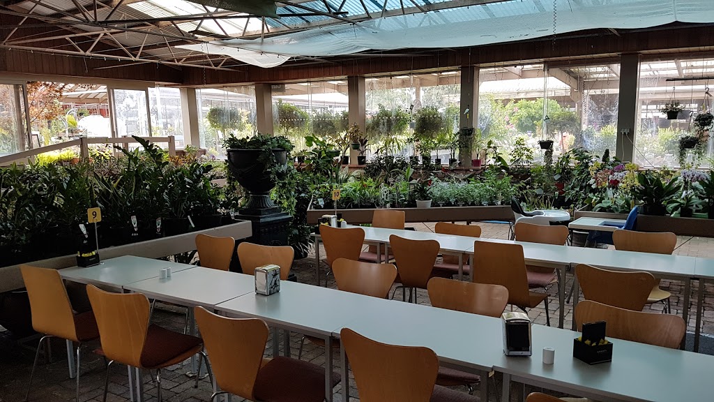 Banksia Nursery Cafe | cafe | 530 Burwood Hwy, Wantirna South VIC 3152, Australia | 0398015320 OR +61 3 9801 5320