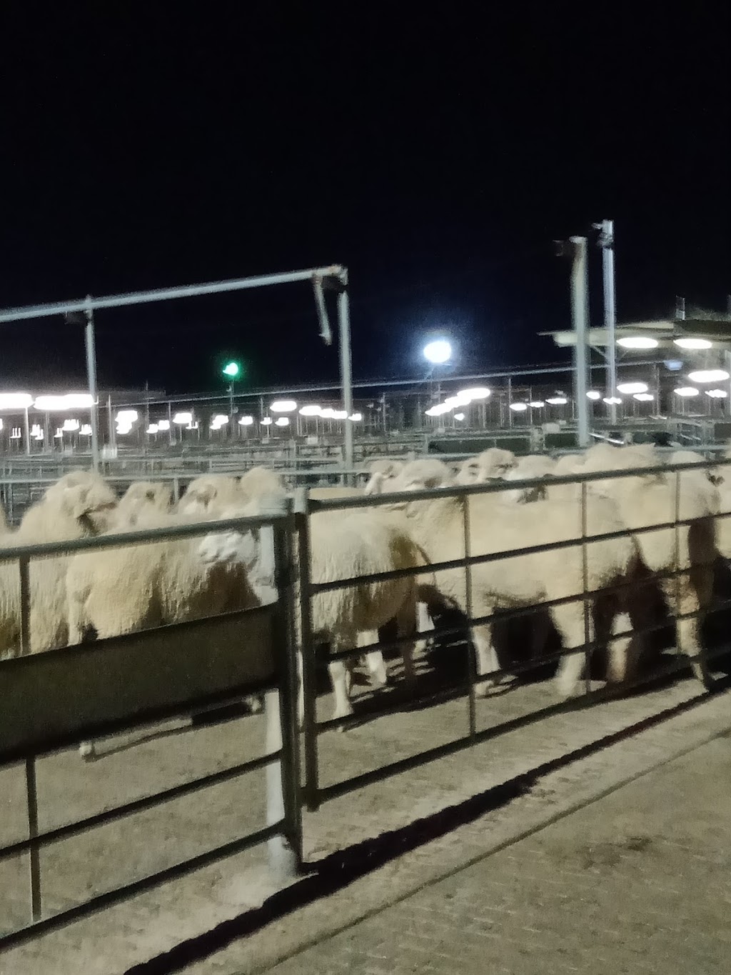Livestock Marketing Centre |  | 53 Webb St, Bomen NSW 2650, Australia | 0269232711 OR +61 2 6923 2711