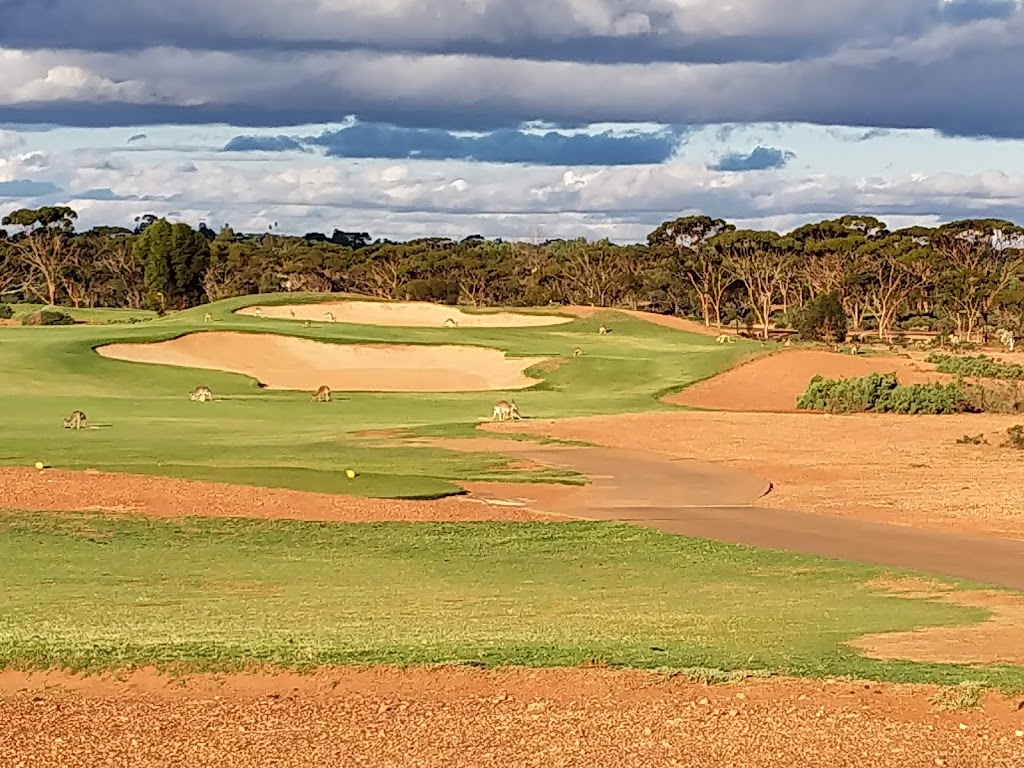 Kalgoorlie Golf Course | 93 Aslett Dr, Karlkurla WA 6430, Australia | Phone: (08) 9026 2601