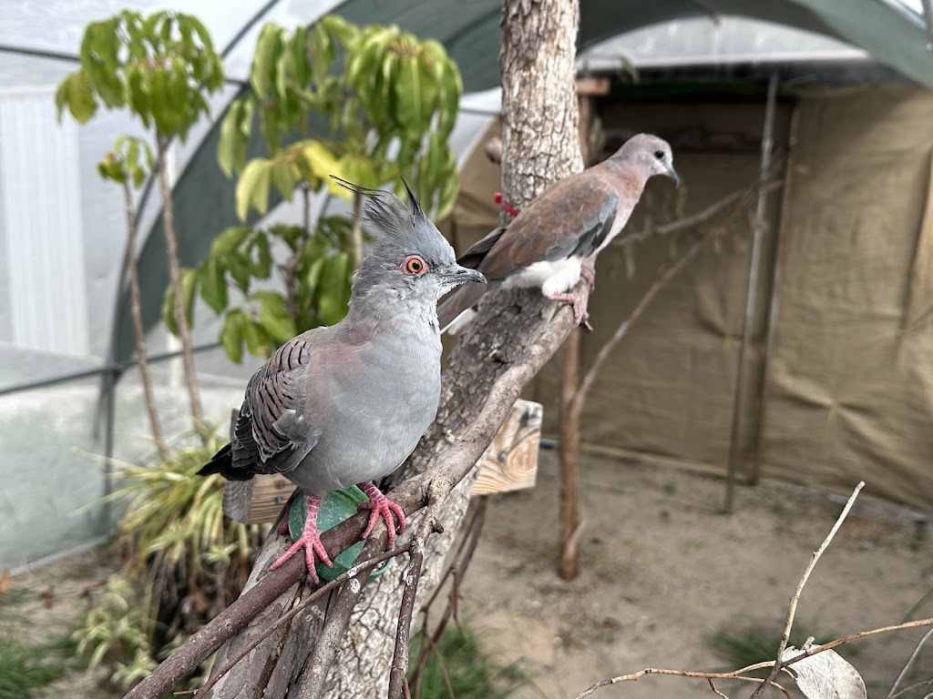 ESPERANCE WILDLIFE HOSPITAL & SANCTUARY | 266 South Coast Hwy, Chadwick WA 6450, Australia | Phone: 0452 561 313