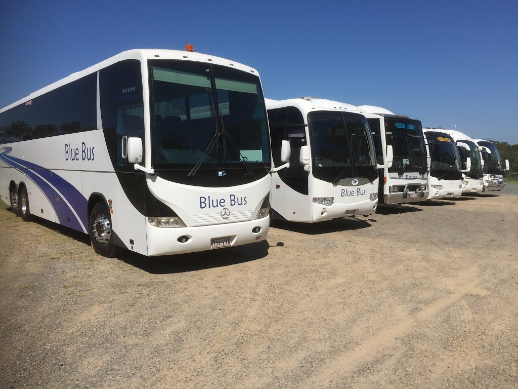 Blue Bus | travel agency | 1 Lambert Ct, Victoria Point QLD 4165, Australia | 0419712786 OR +61 419 712 786