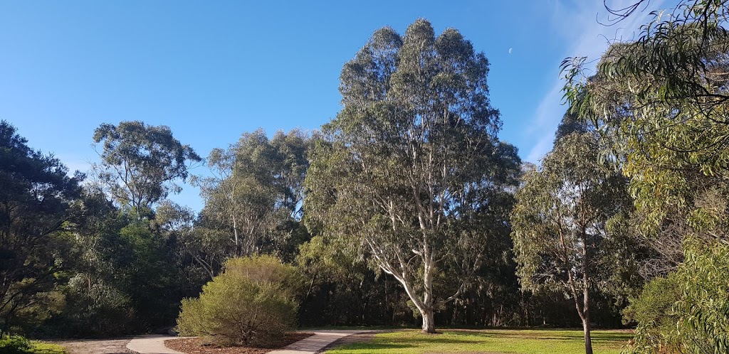 Gardiners Creek Trail | park | Gardiners Creek Trail, Box Hill South VIC 3128, Australia