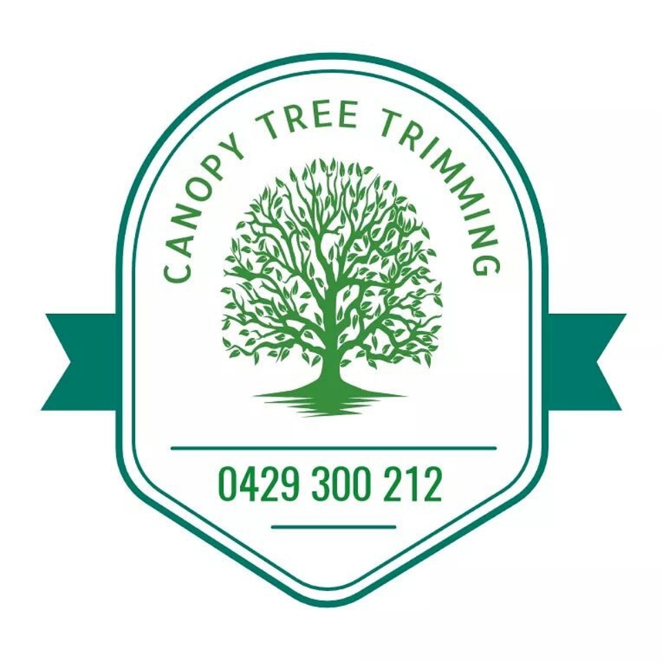 Canopy Tree Trimming |  | 77 Rangewood Dr, Rangewood QLD 4817, Australia | 0429300212 OR +61 429 300 212