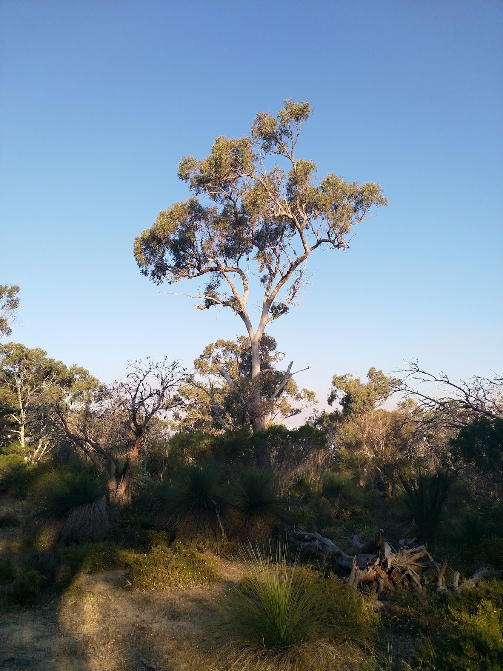 Neerabup National Park | Neerabup Rd, Neerabup WA 6031, Australia | Phone: (08) 9303 7700