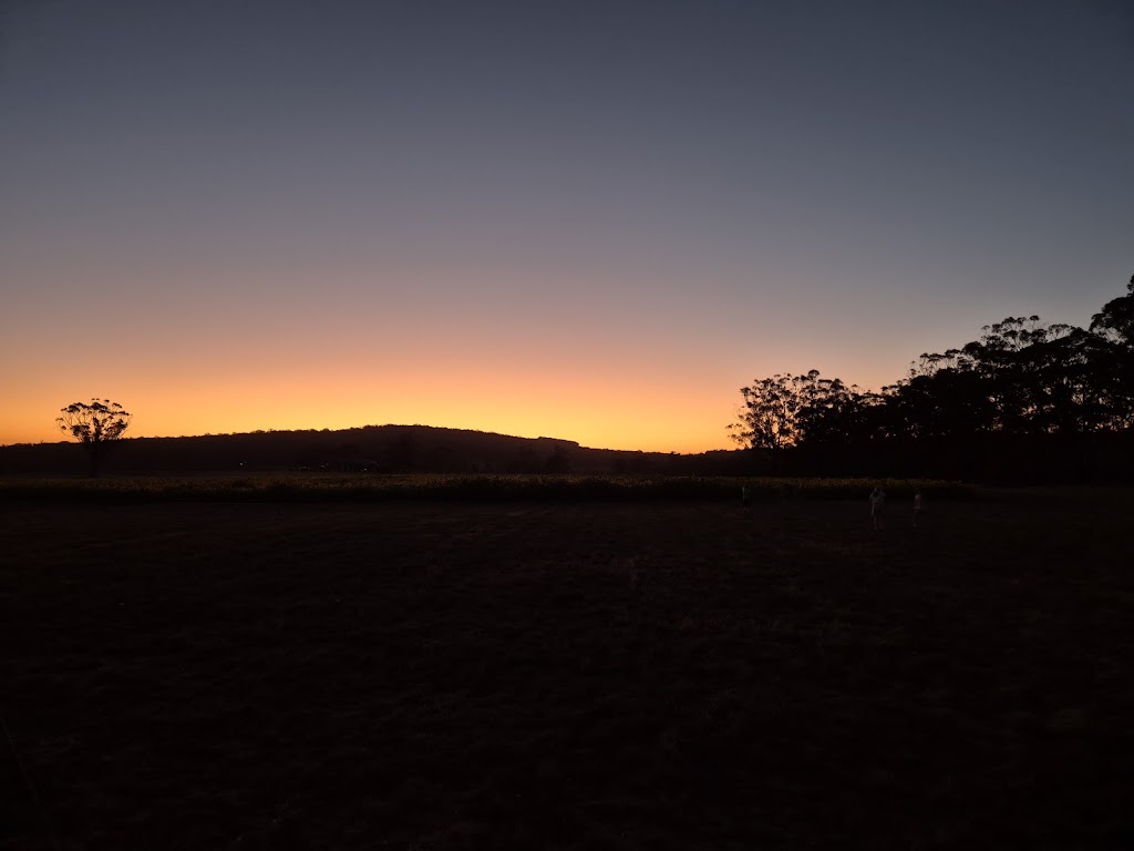 Spa Country Sunflowers | 420 Developmental Rd, Bolwarrah VIC 3352, Australia | Phone: 0418 387 380