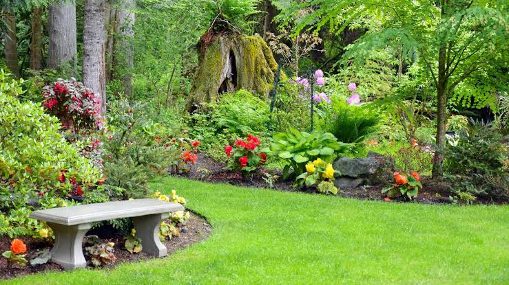 GARDENER EXPERIENCE | 86 Panorama Dr, Tweed Heads West NSW 2485, Australia | Phone: 0489 016 446