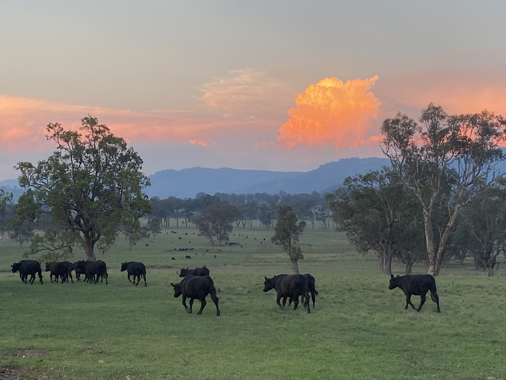 The Barn at 417 | 417 Crawney Rd, Nundle NSW 2340, Australia | Phone: 0490 094 810