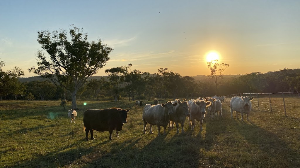 Mangrove Mountain Farm Stay | 476 Ironbark Rd, Mangrove Mountain NSW 2250, Australia | Phone: 0406 273 351