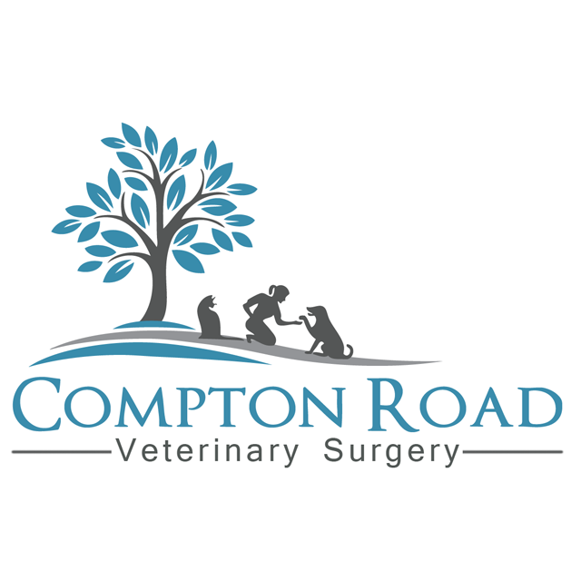 Compton Road Veterinary Surgery | veterinary care | 442 Compton Rd, Runcorn QLD 4113, Australia | 0737113100 OR +61 7 3711 3100