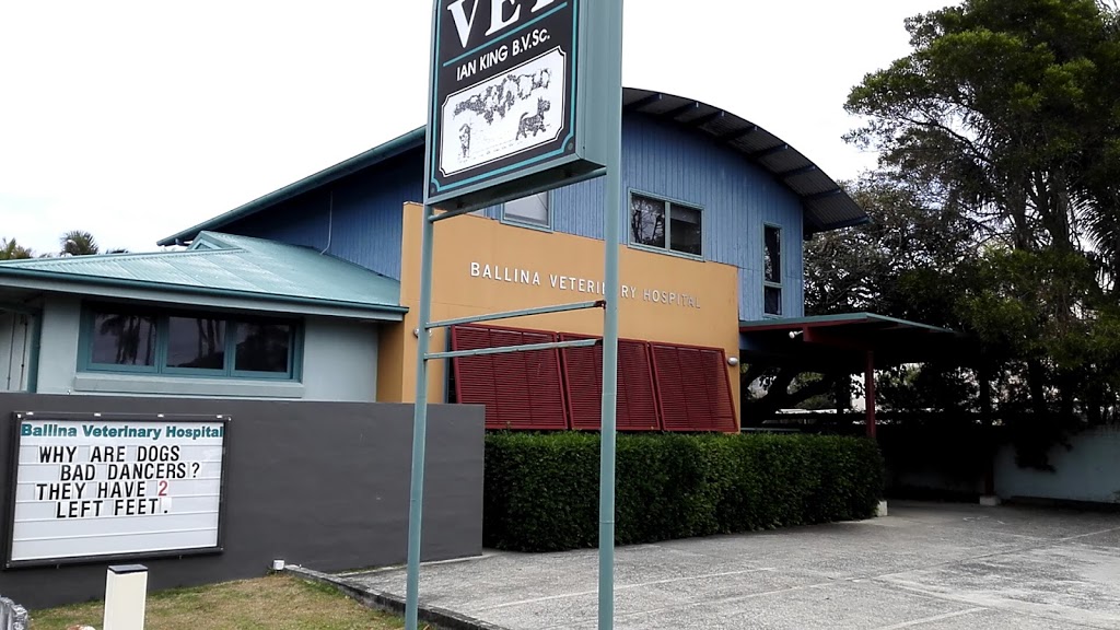 Ballina Veterinary Hospital | veterinary care | 14 River St, Ballina NSW 2478, Australia | 0266864889 OR +61 2 6686 4889