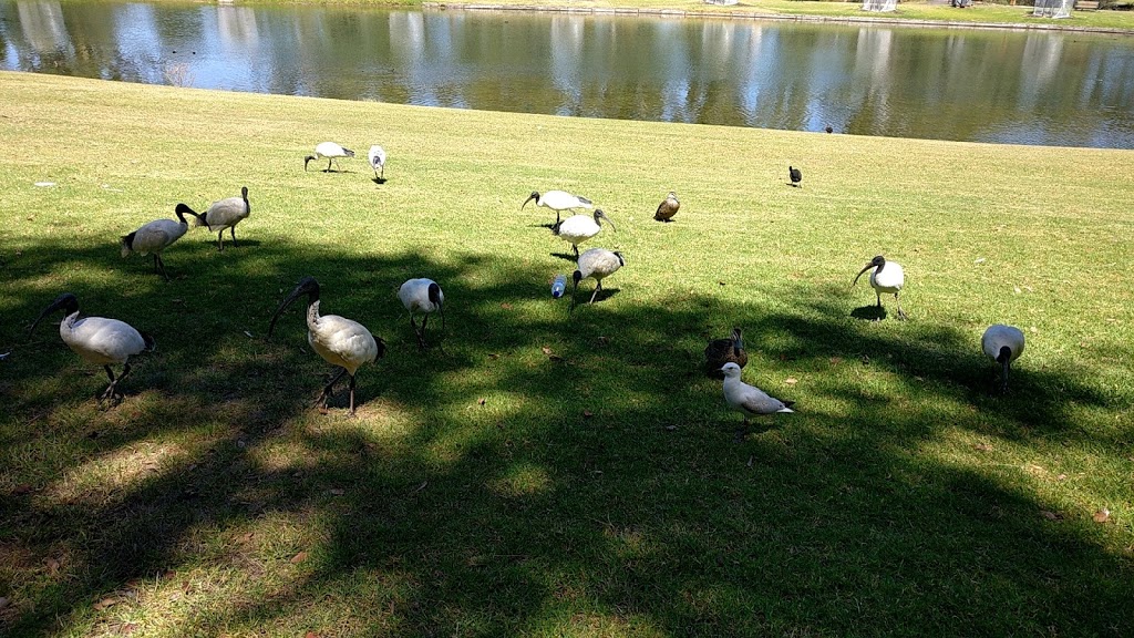 Keith Stephenson Park | park | Adelaide Rd, Mount Barker SA 5251, Australia | 0883917200 OR +61 8 8391 7200