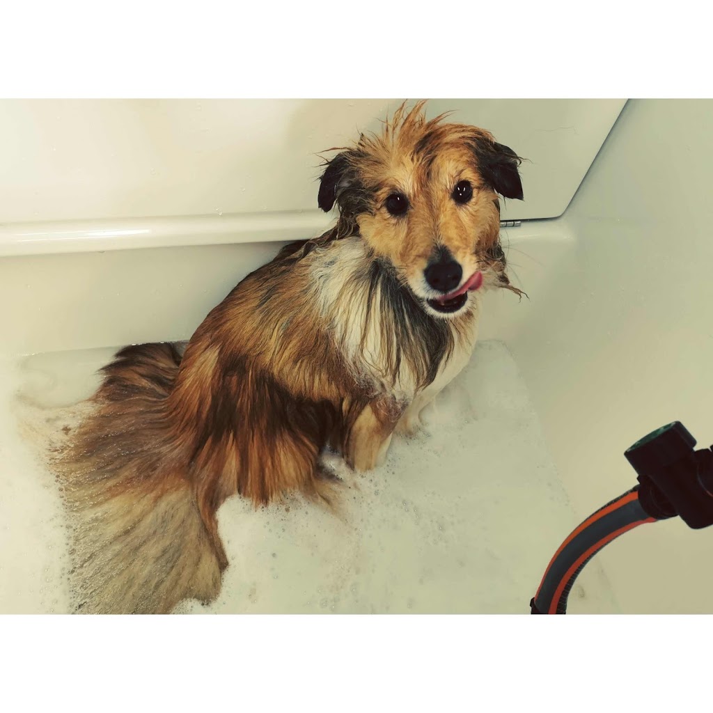 Bannockburn Dog Grooming | 89 Lowndes Rd, Bannockburn VIC 3331, Australia | Phone: 0408 332 202