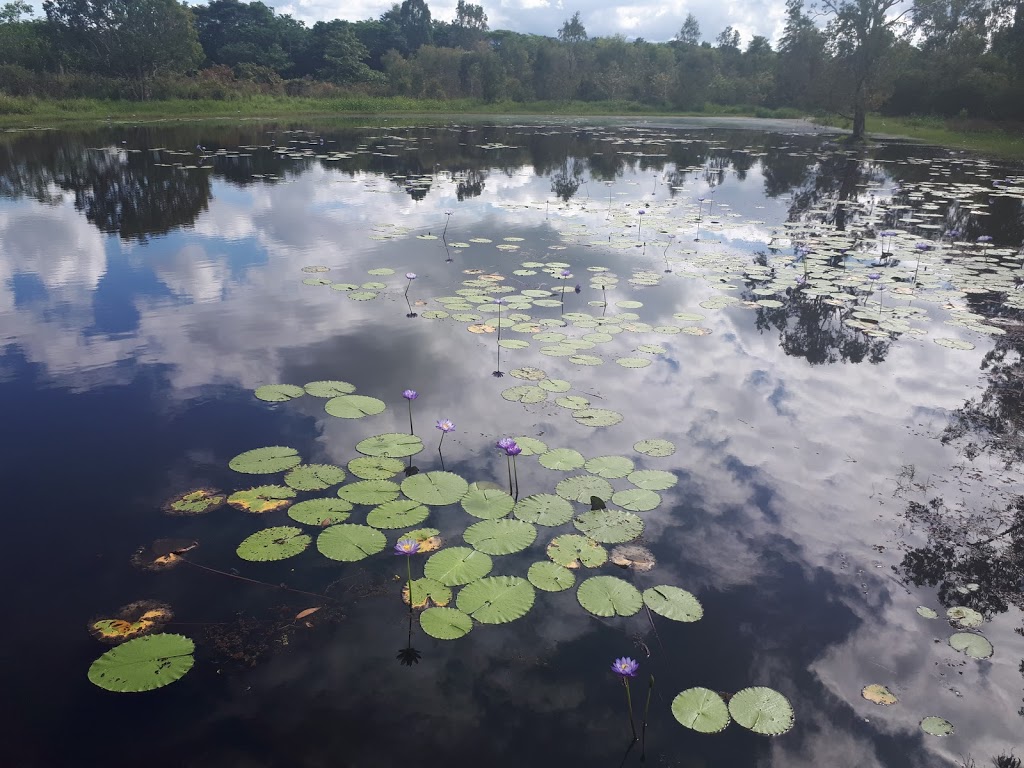 TYTO wetlands bird walk | 59 Cooper St, Ingham QLD 4850, Australia