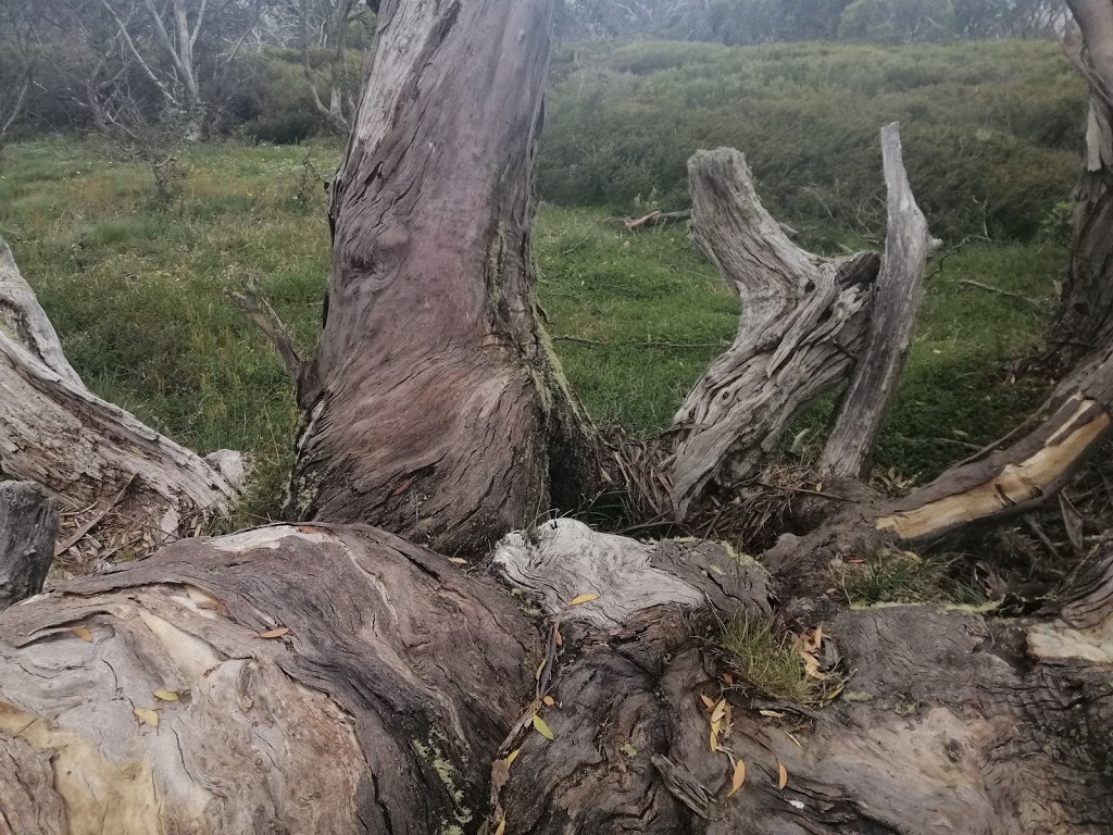 Wallace Hut Carpark | parking | Wallace Heritage Trail, Falls Creek VIC 3699, Australia | 131963 OR +61 131963