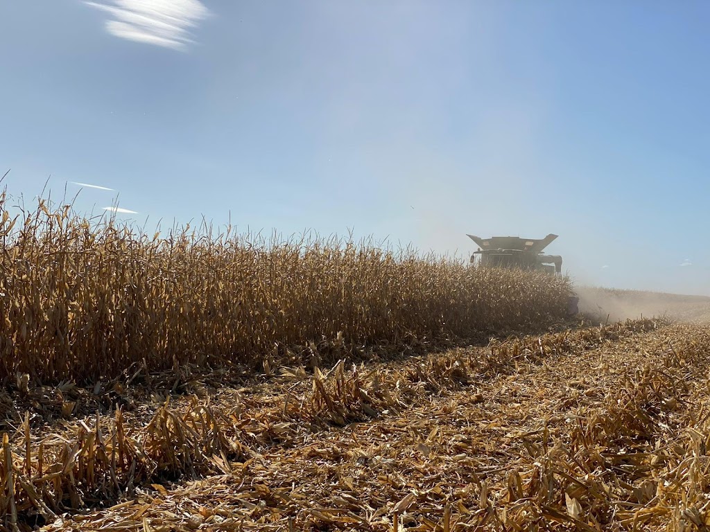 J B Contract Harvesting | 4923 Carrathool Rd, Carrathool NSW 2711, Australia | Phone: 0408 490 177