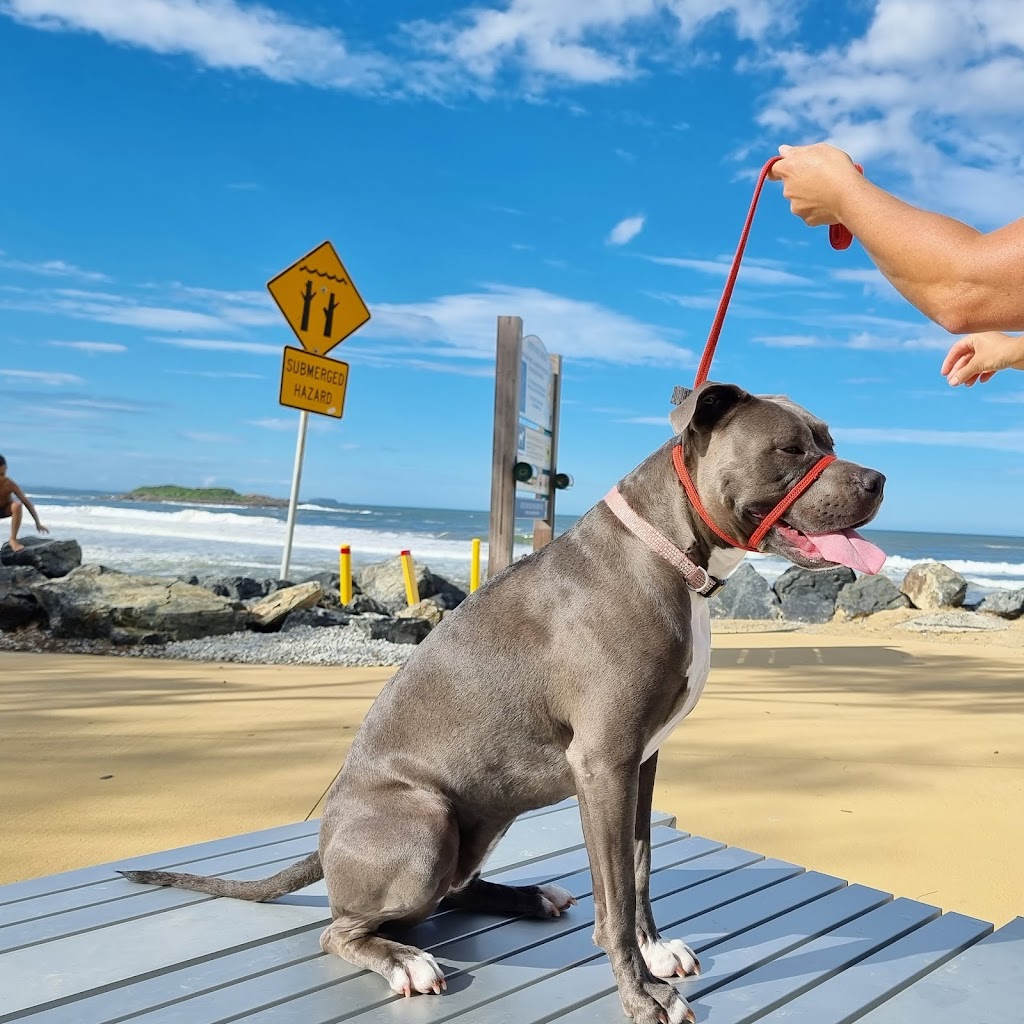 Canine Revolution Dog Training Coffs Harbour | 36 Upper Orara Rd, Karangi NSW 2450, Australia | Phone: 0414 251 177