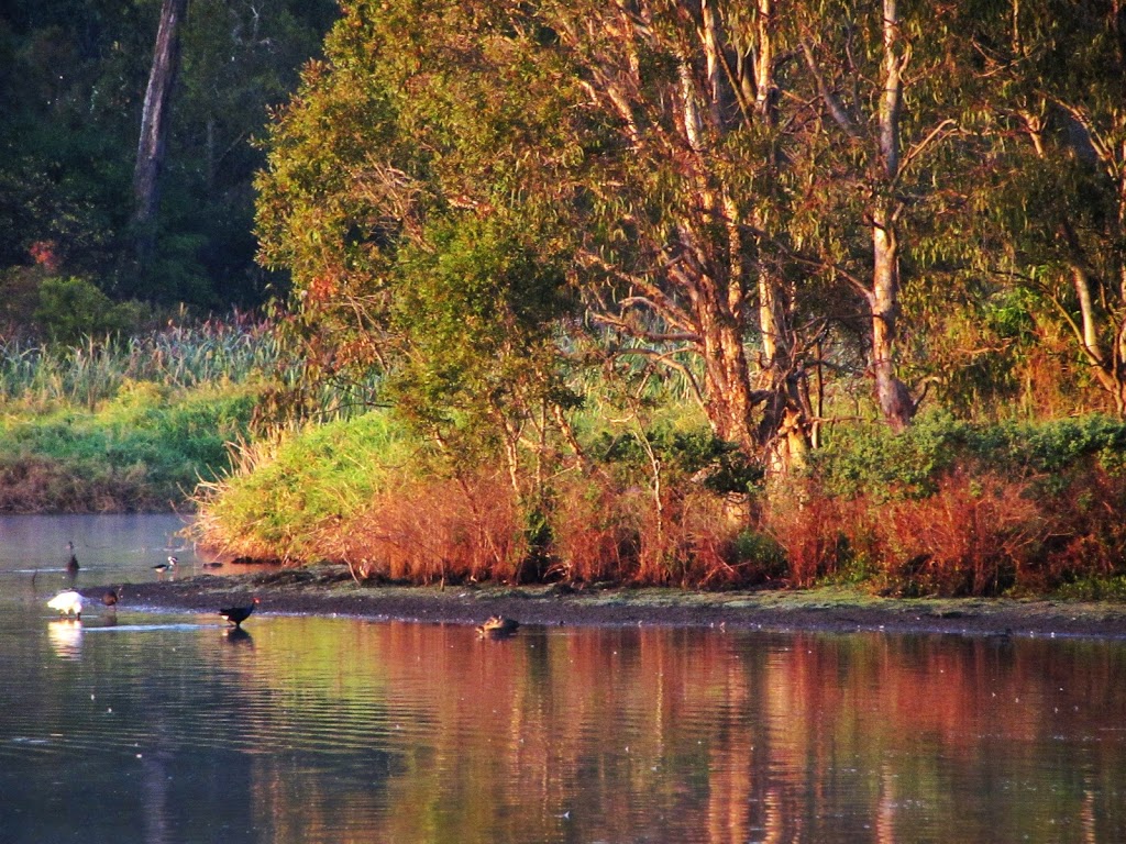 Eagleby Wetlands | park | Eagleby QLD 4207, Australia