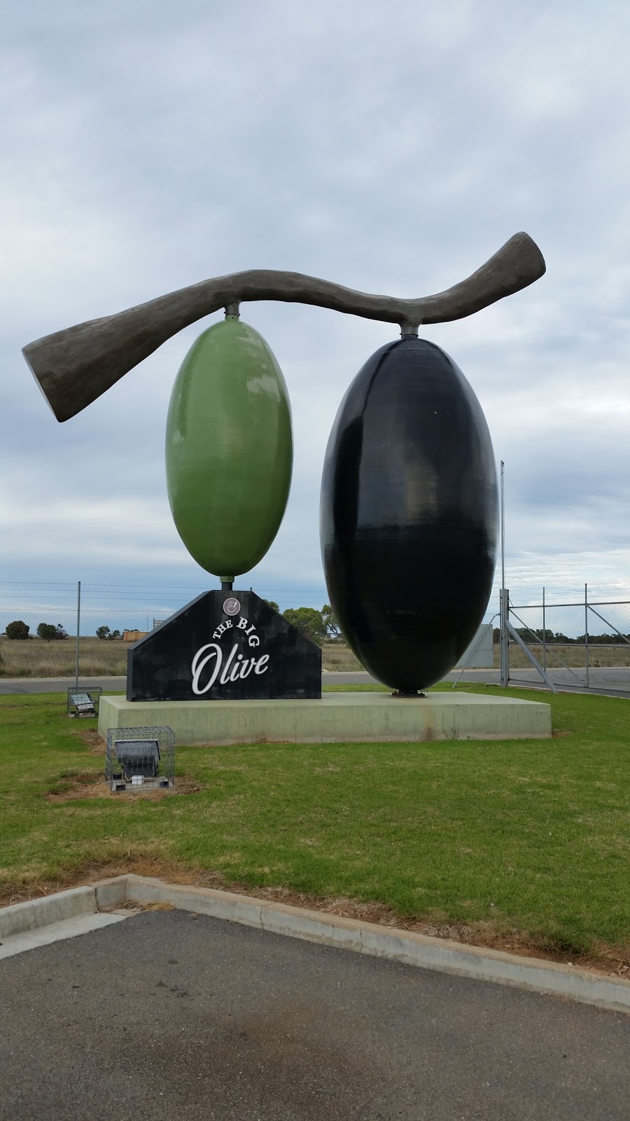 The Big Olive |  | 77 Big Olive Grove, Tailem Bend SA 5260, Australia | 0885723000 OR +61 8 8572 3000