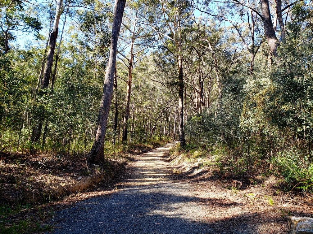 Boolah-Dillah Track | park | Pacific Hwy, Bulahdelah NSW 2423, Australia