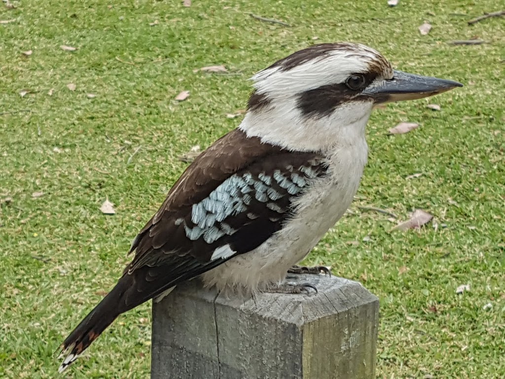 Abrahams Bosom Reserve Walking Track | Abrahams Bosom Reserve, Gerringong St, Beecroft Peninsula NSW 2540, Australia | Phone: (02) 4429 3111