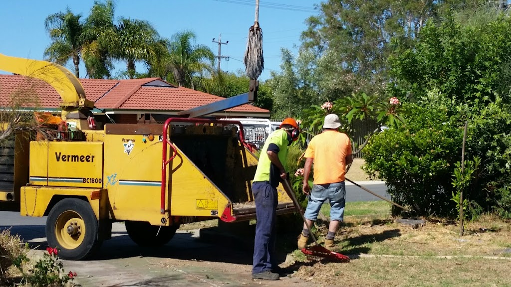 T & A Tree Services - Tree Lopping, Stump Grinding | 74 Brookton Hwy, Kelmscott WA 6111, Australia | Phone: 0419 495 231