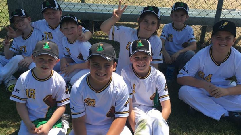 Pine Hills Lightning Baseball Club | 2 Pine Hills Dr, Bunya QLD 4055, Australia | Phone: 0402 893 722