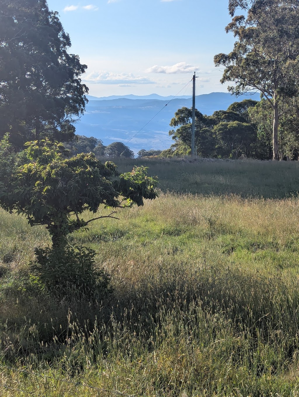 Quolls Cottage | 31.864757145578263, 151.40482651995222, Tomalla NSW 2337, Australia | Phone: (02) 4326 5333