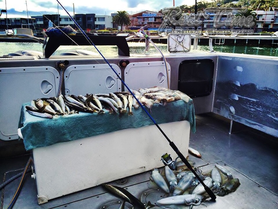 Reel Time Fishing Charters Martha Cove | 9 The Cove, Safety Beach VIC 3936, Australia | Phone: 0438 302 093