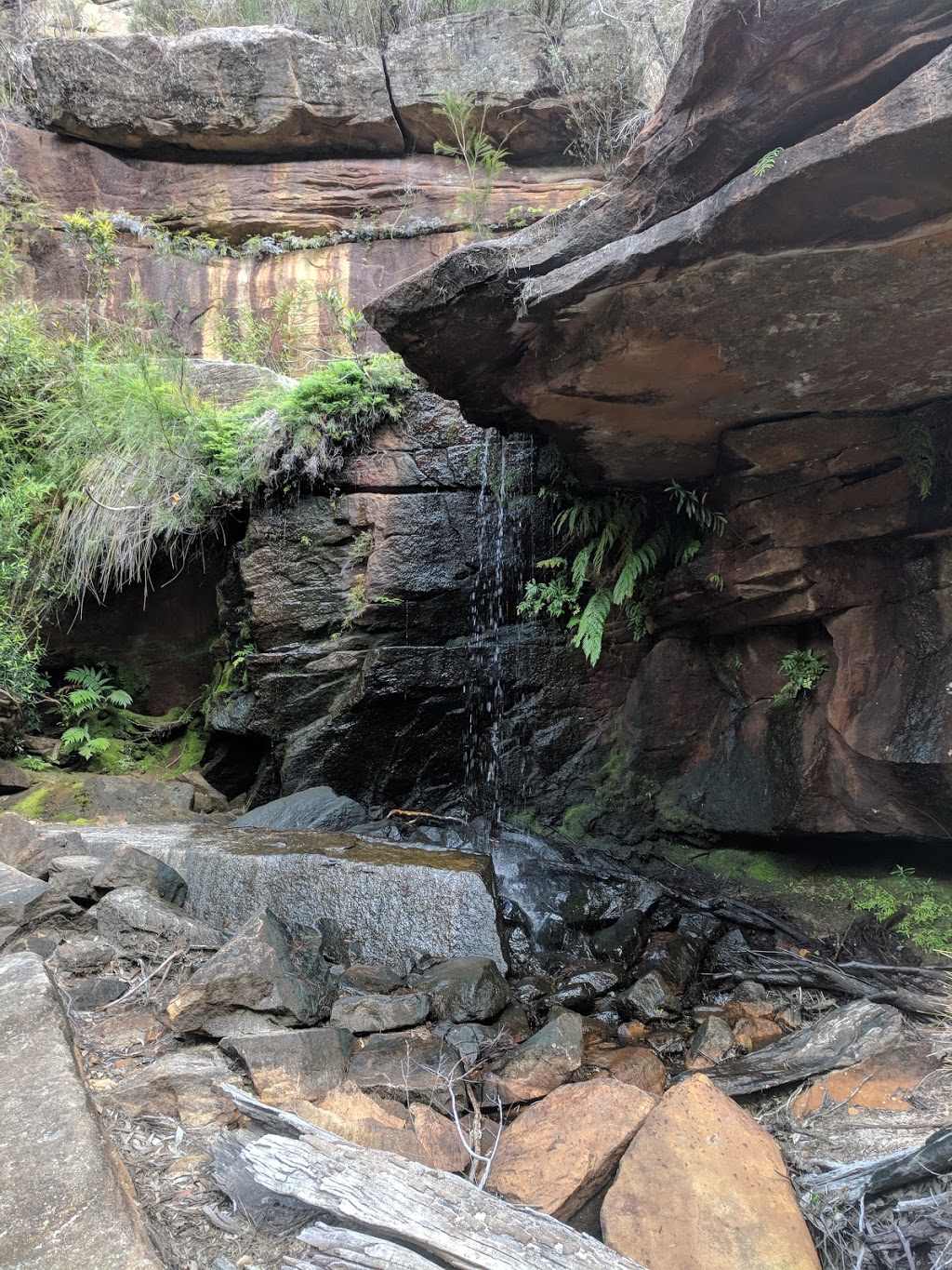 Winifred Falls | park | Royal National Park NSW, Royal National Park NSW 2233, Australia