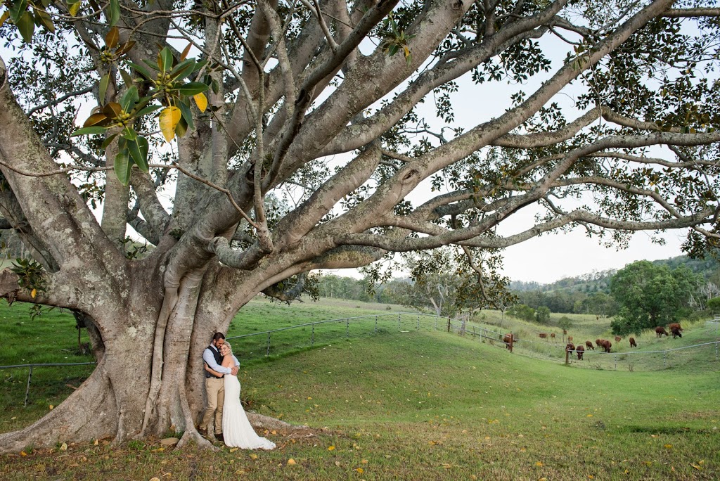 Longview Farm Weddings | 95 Longview Cl, Caffreys Flat NSW 2424, Australia | Phone: 0413 508 740