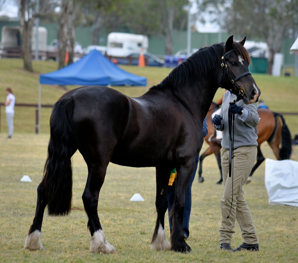 Sydney International Equestrian Centre |  | Saxony Rd, Horsley Park NSW 2175, Australia | 0288836900 OR +61 2 8883 6900