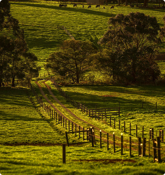 Stony Creek | 343 McGlone Rd, Drouin VIC 3818, Australia | Phone: 1300 278 699
