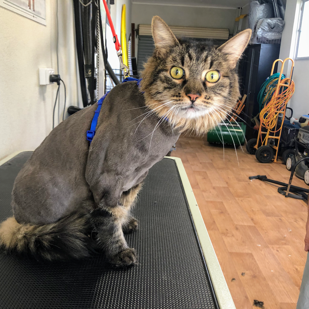 Lukame Grooming | 59 Saw Ave, Rockingham WA 6168, Australia | Phone: 0403 585 544