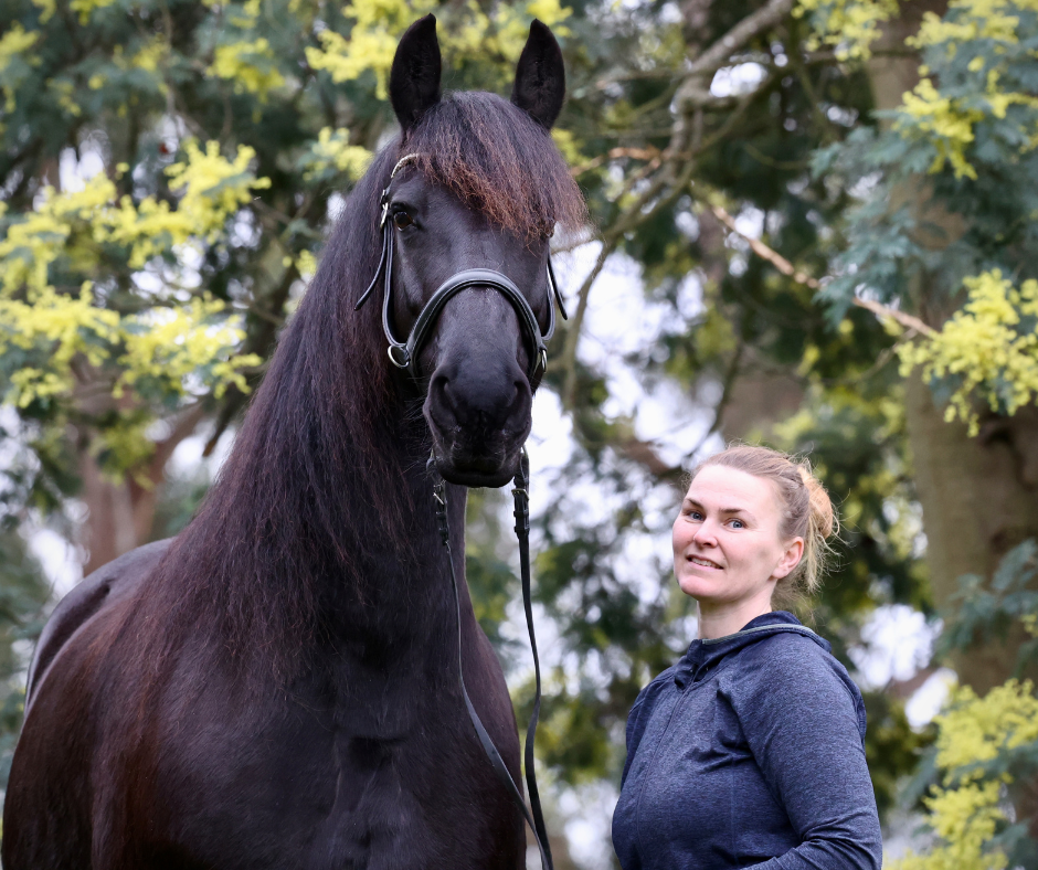 Tasman Feed & Forage | 479 Nubeena Back Rd, Koonya TAS 7187, Australia | Phone: 0490 951 692